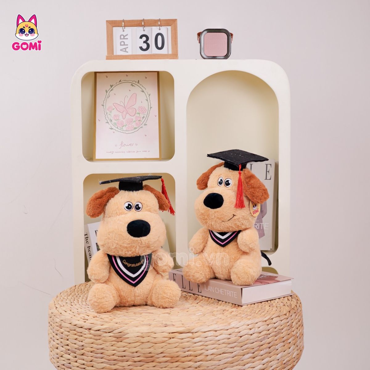 Gấu Bông Tốt Nghiệp Chó Kem Tai Nâu