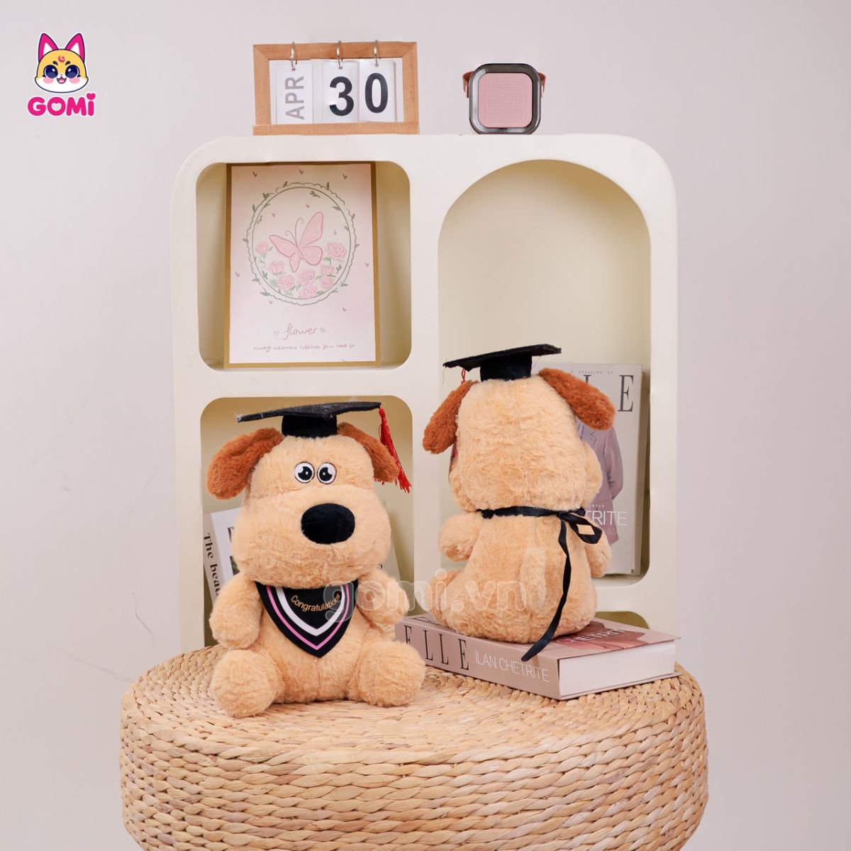 Gấu Bông Tốt Nghiệp Chó Kem Tai Nâu