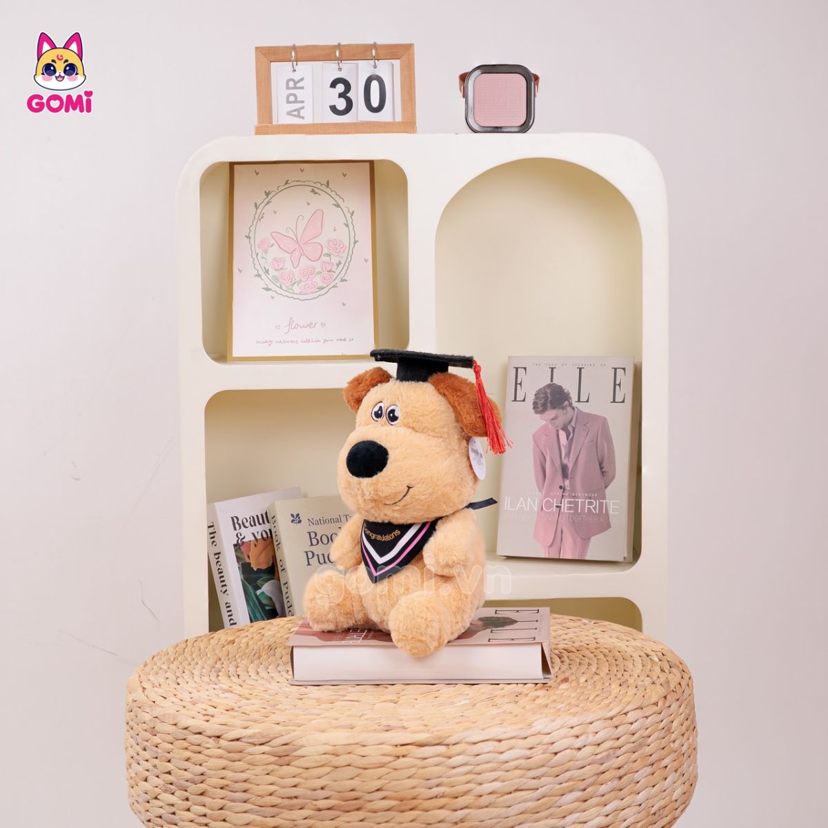 Gấu Bông Tốt Nghiệp Chó Kem Tai Nâu