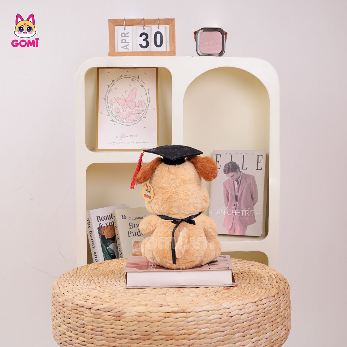 Gấu Bông Tốt Nghiệp Chó Kem Tai Nâu