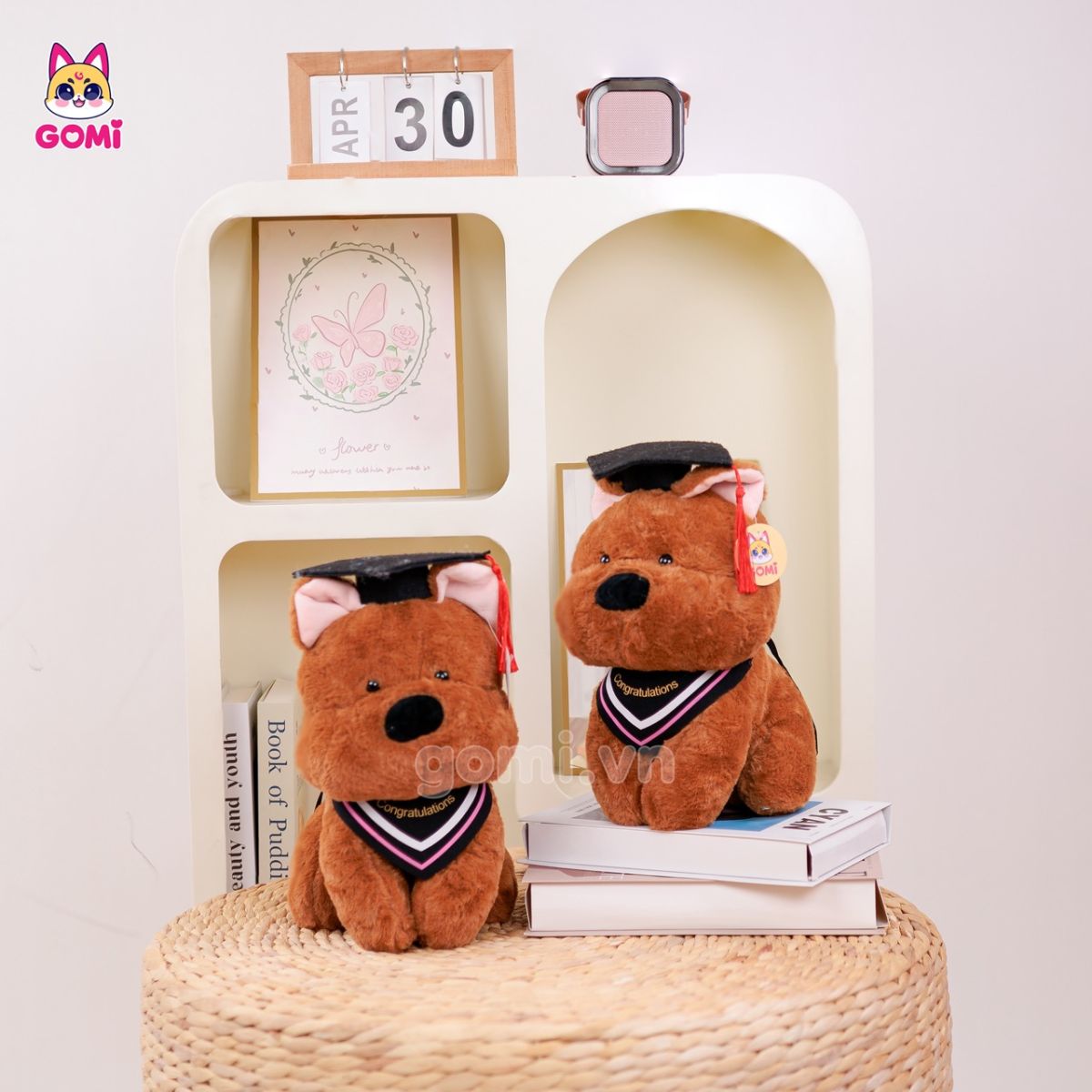 Gấu Bông Tốt Nghiệp Chó Nâu