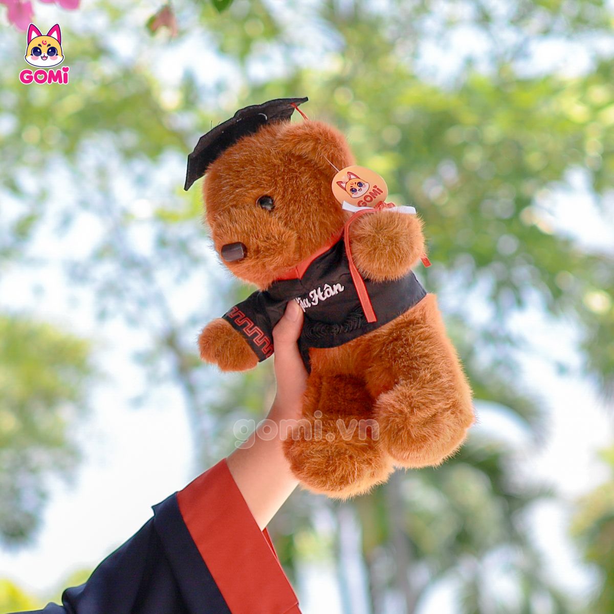 Gấu Bông Teddy Tốt Nghiệp