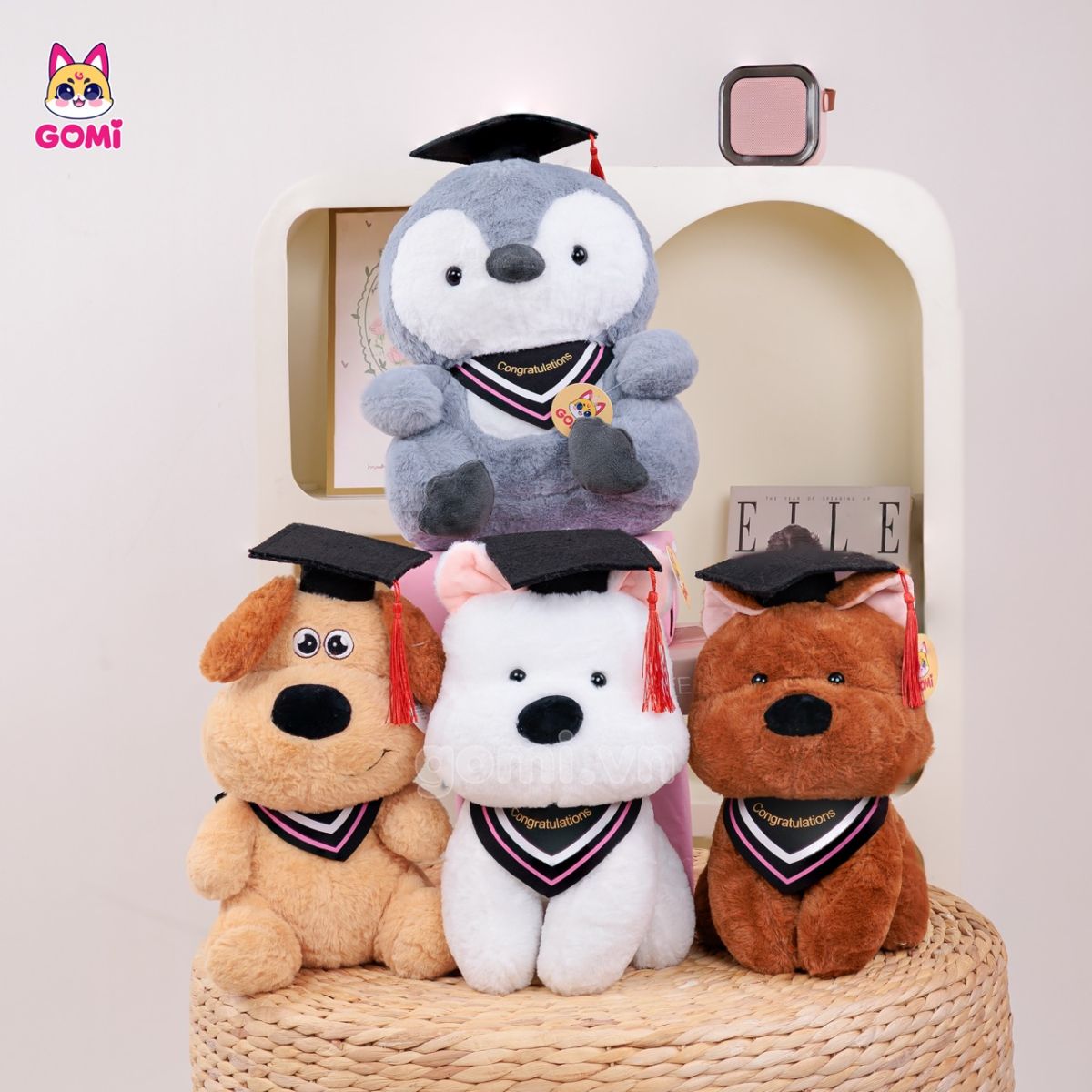 Gấu Bông Chó Tốt Nghiệp
